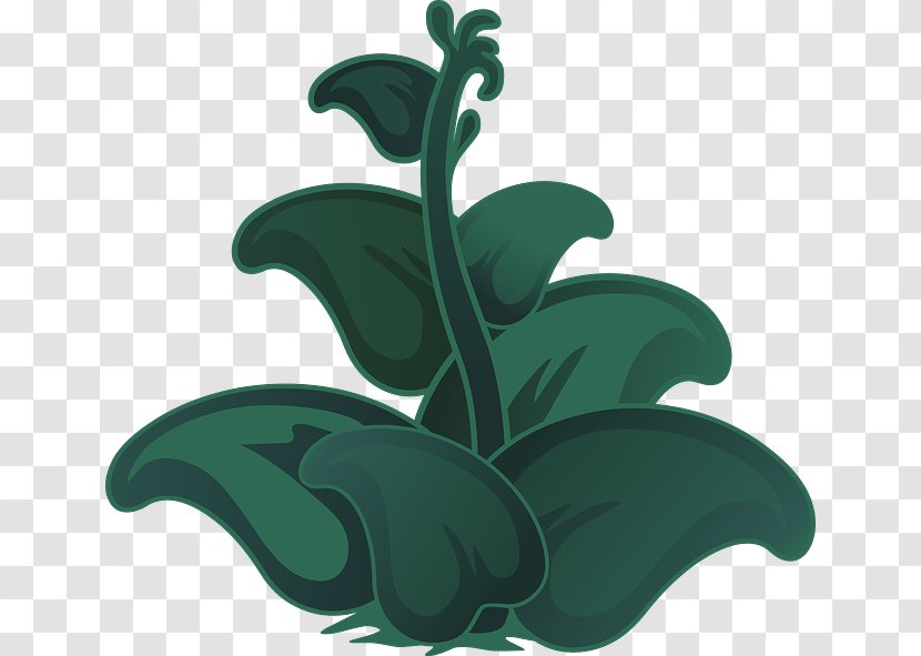 Leaf Plant Clip Art - Vine Transparent PNG