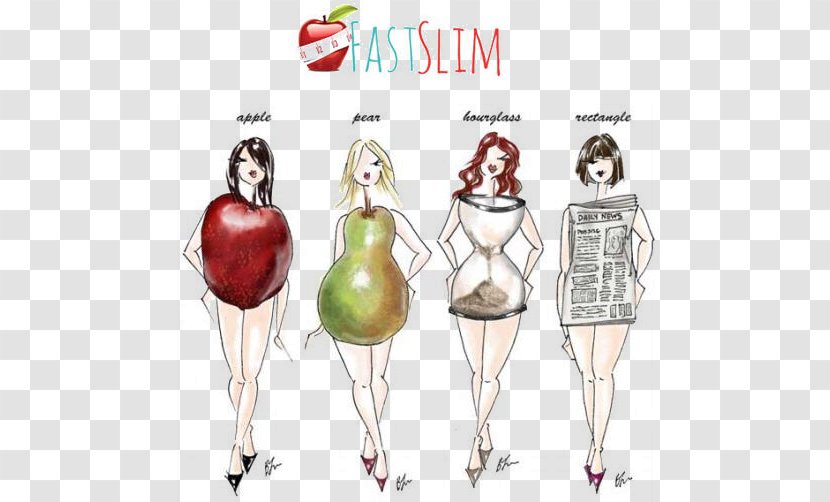 Female Body Shape Adipose Tissue Human Weight Loss Abdominal Obesity - Figure Transparent PNG