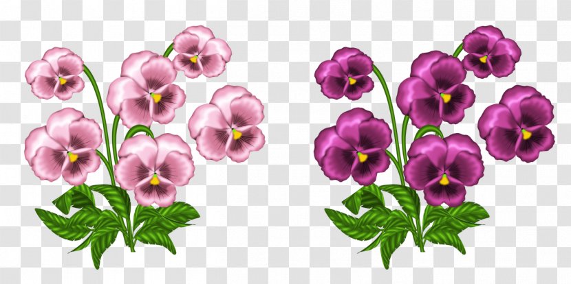 African Violets Clip Art - Violet Family - Pink Clipart Transparent PNG