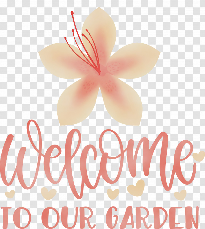 Cut Flowers Petal Meter Font Flower Transparent PNG