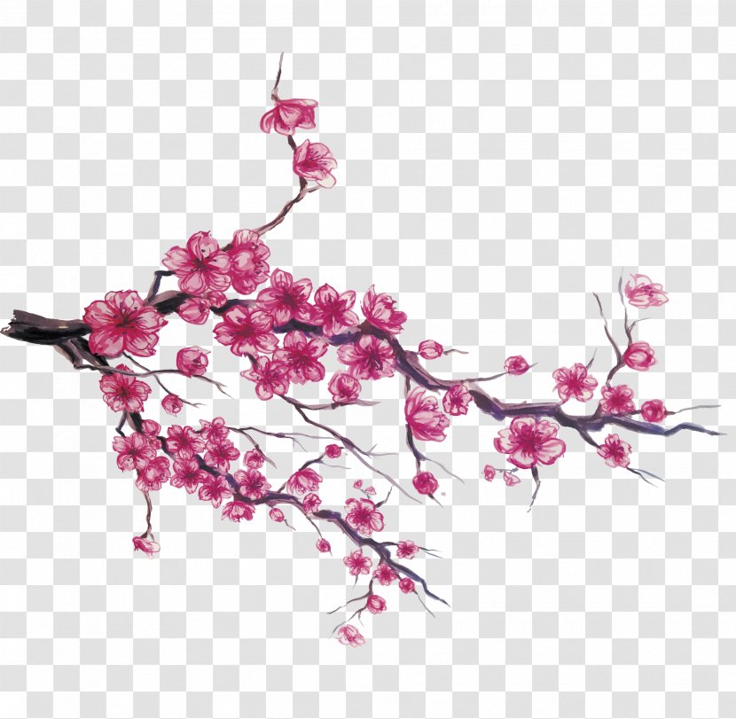 Japan Cherry Blossom Download - Hand-painted Japanese Transparent PNG