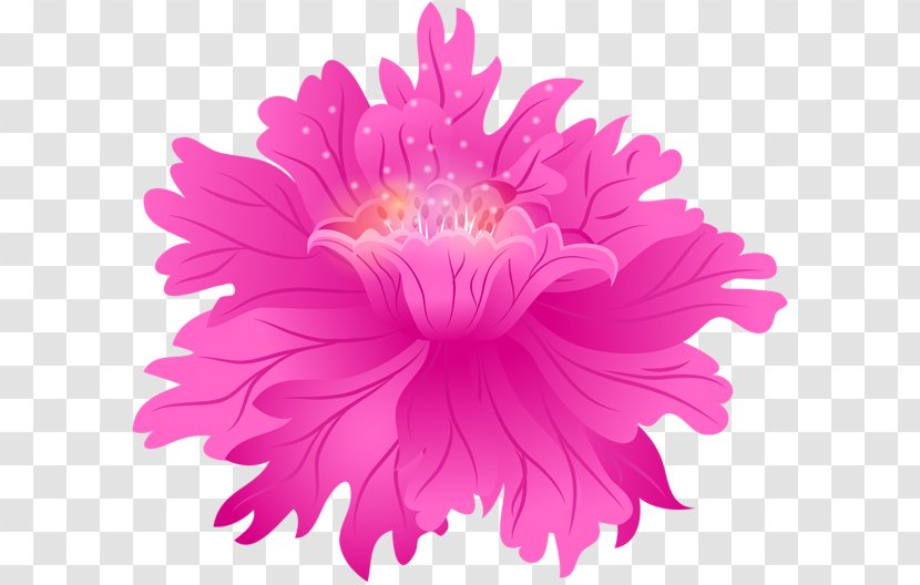 Chrysanthemum Rose Pink Flowers Photography - Clothing Accessories Transparent PNG