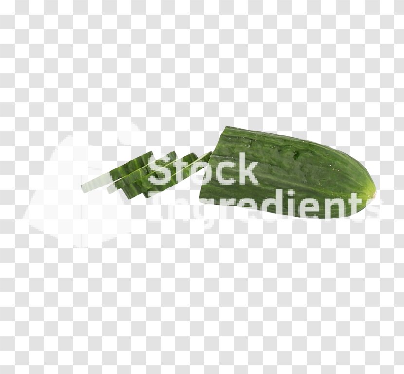 Plastic Green - Cucumber Slices And Image Transparent PNG