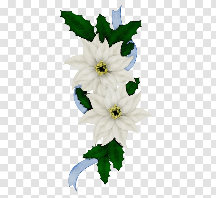 White Flower Plant Petal Cut Flowers Transparent PNG