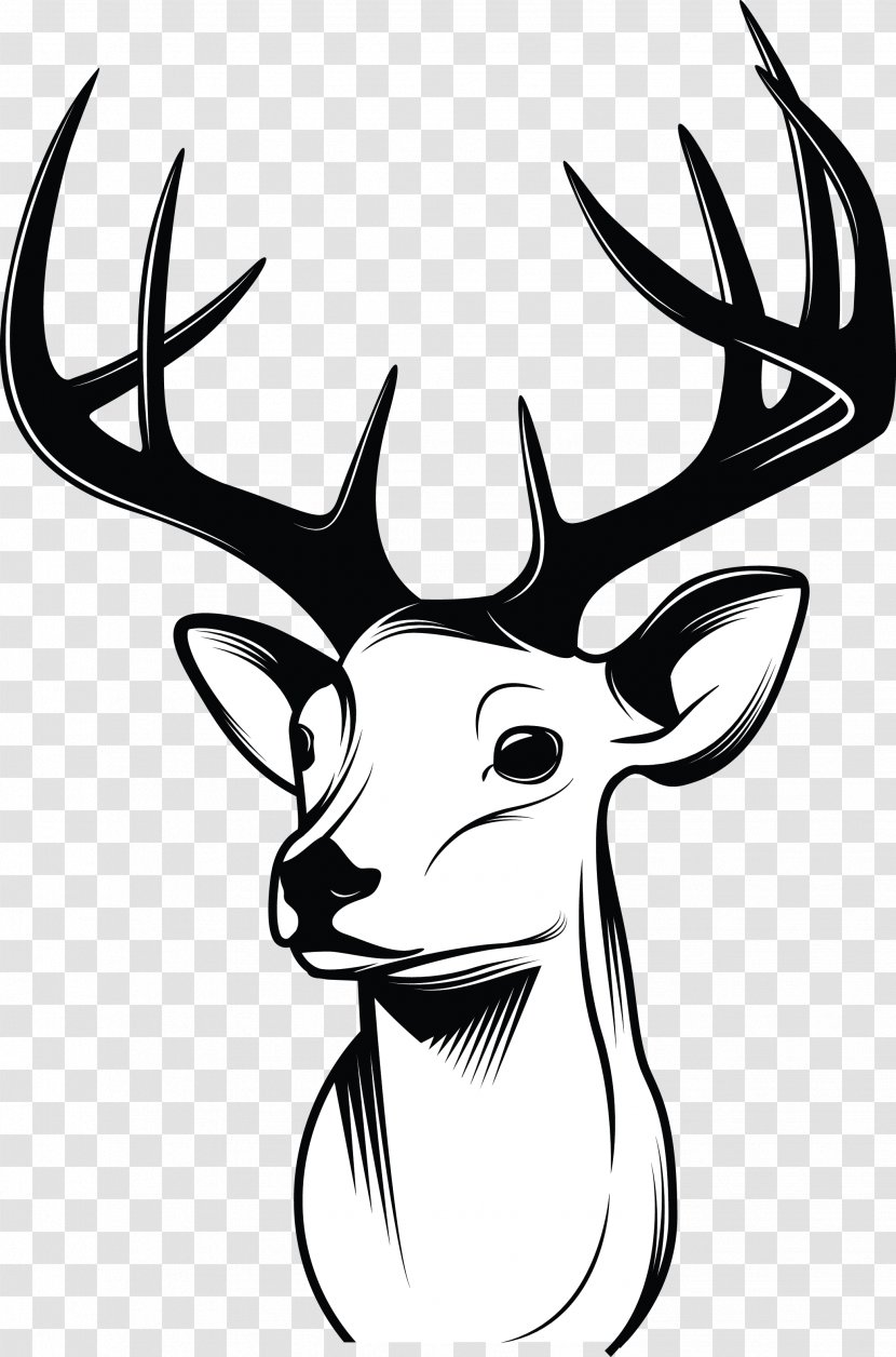 Deer Drawing Sketch - Fictional Character - Horns Transparent PNG