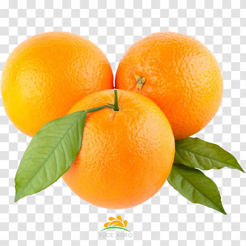 Clip Art Orange Image Psd - Superfood - Tangerine Vegetarian Food Transparent PNG