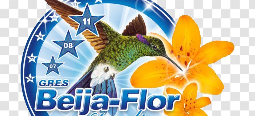 Carnival In Rio De Janeiro Beija-Flor Samba School - Beija Flor Transparent PNG