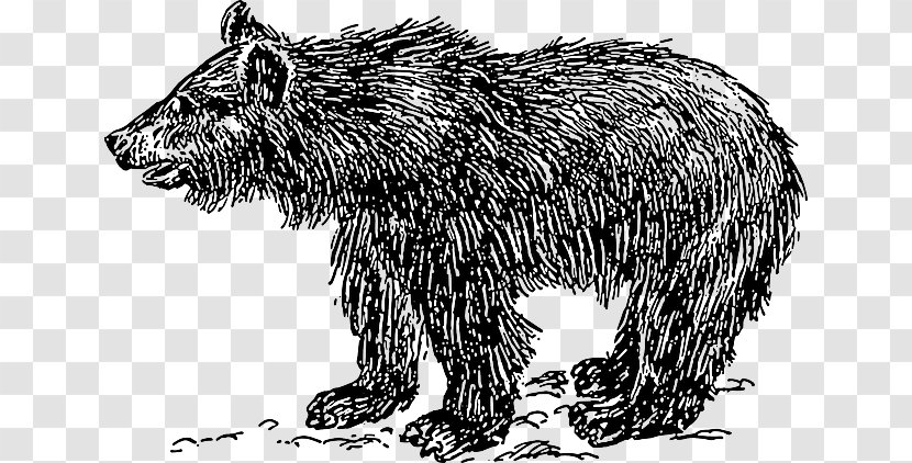 Bear Clip Art - Wildlife - Little Transparent PNG