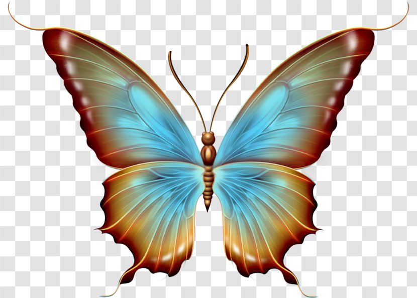 Picsart Background - Moths And Butterflies - Fictional Character Moth Transparent PNG