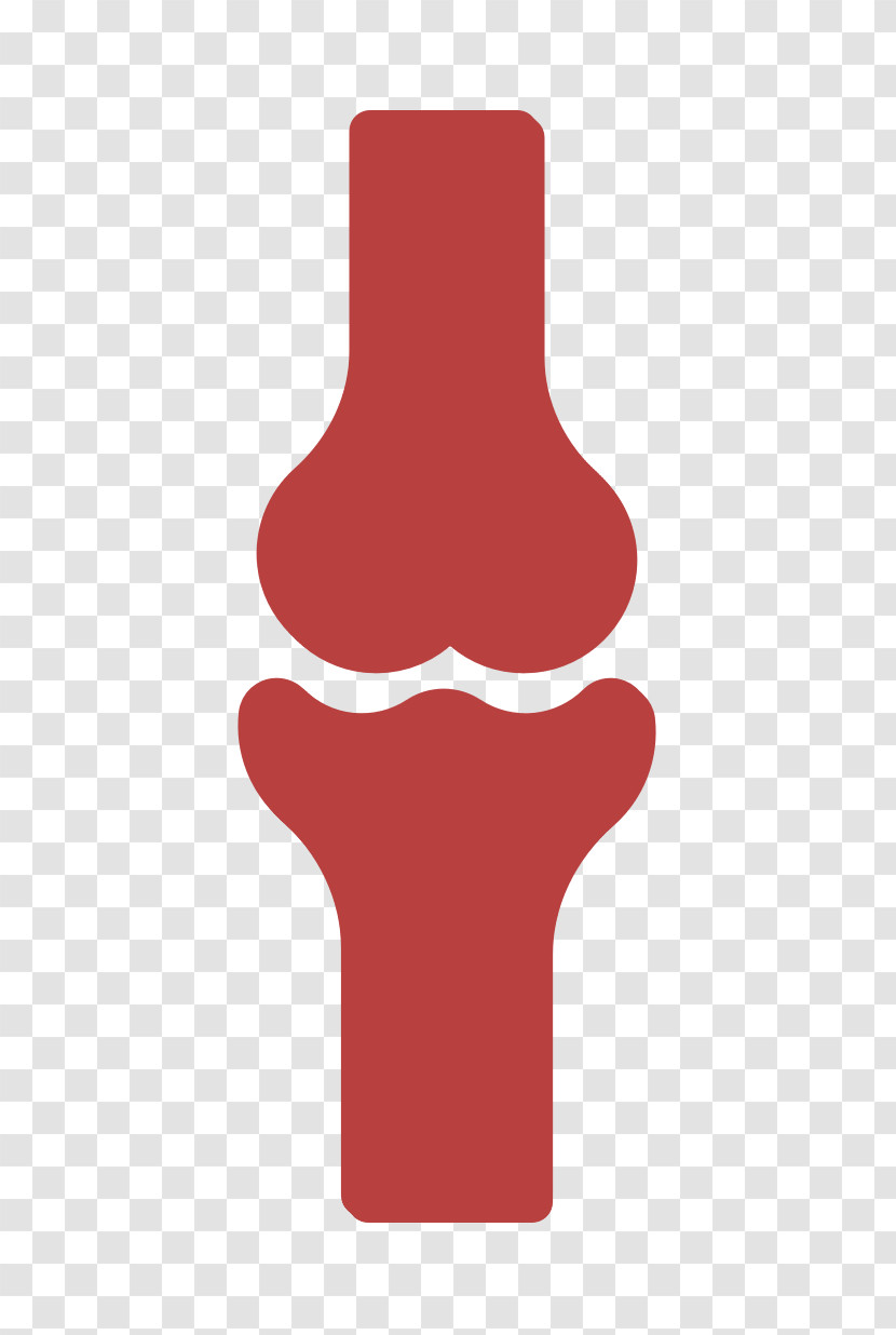 Medical Icon Bone Icon Anatomy Icon Transparent PNG