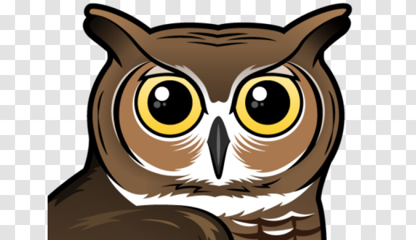 Owl Bird Bird Of Prey Eastern Screech Owl Cartoon Transparent PNG