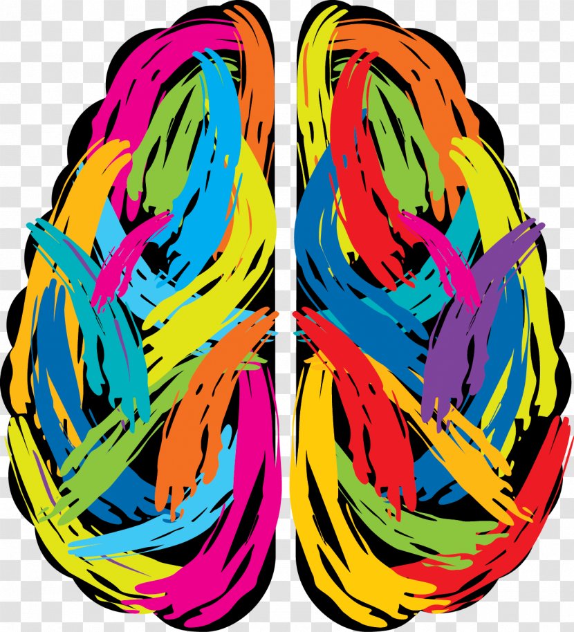 Human Brain Vector Graphics Illustration Painting - Cerebral Cortex Transparent PNG