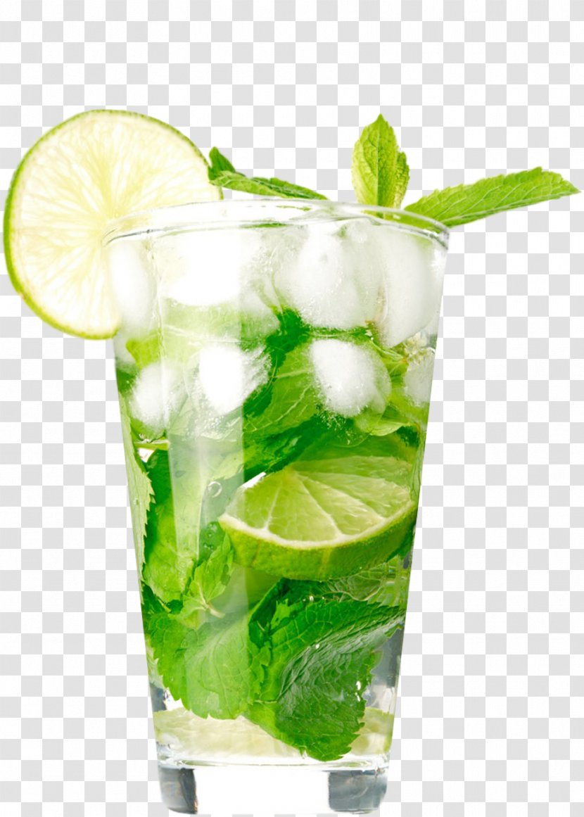 Cocktail Mojito Muddler Juice Spoon Transparent PNG