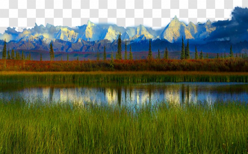 Denali Yellowstone National Park High-definition Television Wallpaper - Salt Marsh - United States Two Transparent PNG