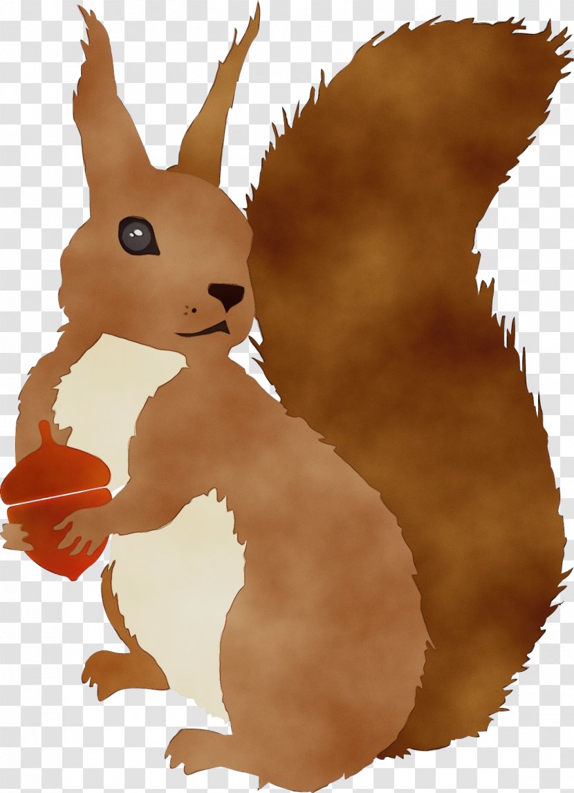 Easter Bunny Background - Squirrel - Animation Tail Transparent PNG