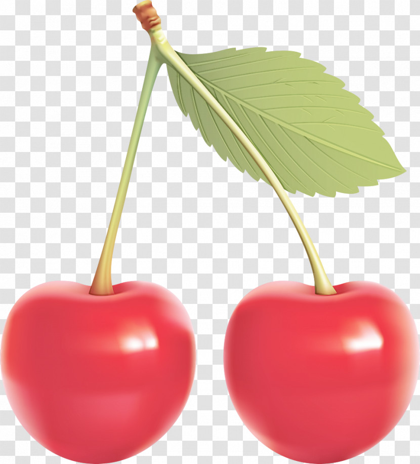 Cherry Pie Cherry Sour Cherry Sweet Cherry Fruit Transparent PNG