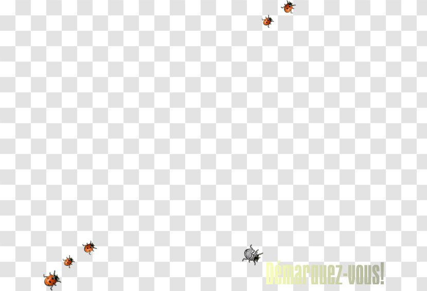 Insect Desktop Wallpaper Pollinator Computer Font - Pest Transparent PNG