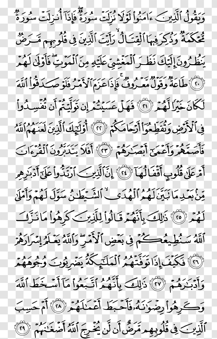 Quran At-Tawba Al-Qasas Al-Baqara Surah - Muhammad - Kareem Transparent PNG