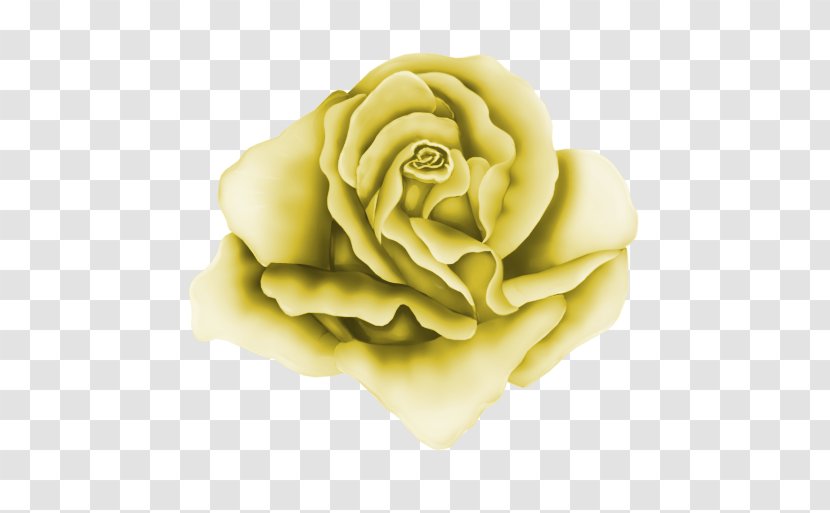 Garden Roses Drawing Clip Art - Rose Transparent PNG