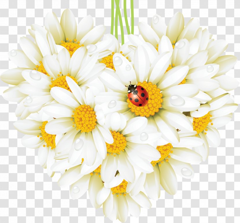 Common Daisy Flower Heart Beetle Ladybird - Watercolor - Camomile Transparent PNG