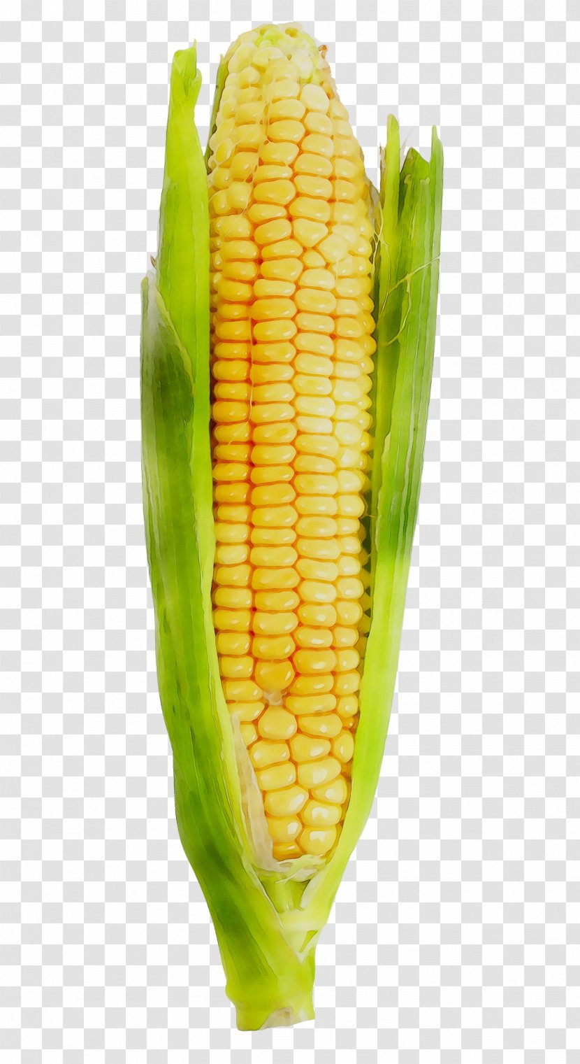 Corn On The Cob Dietary Supplement Sweet Kernel - Food - Grain Transparent PNG