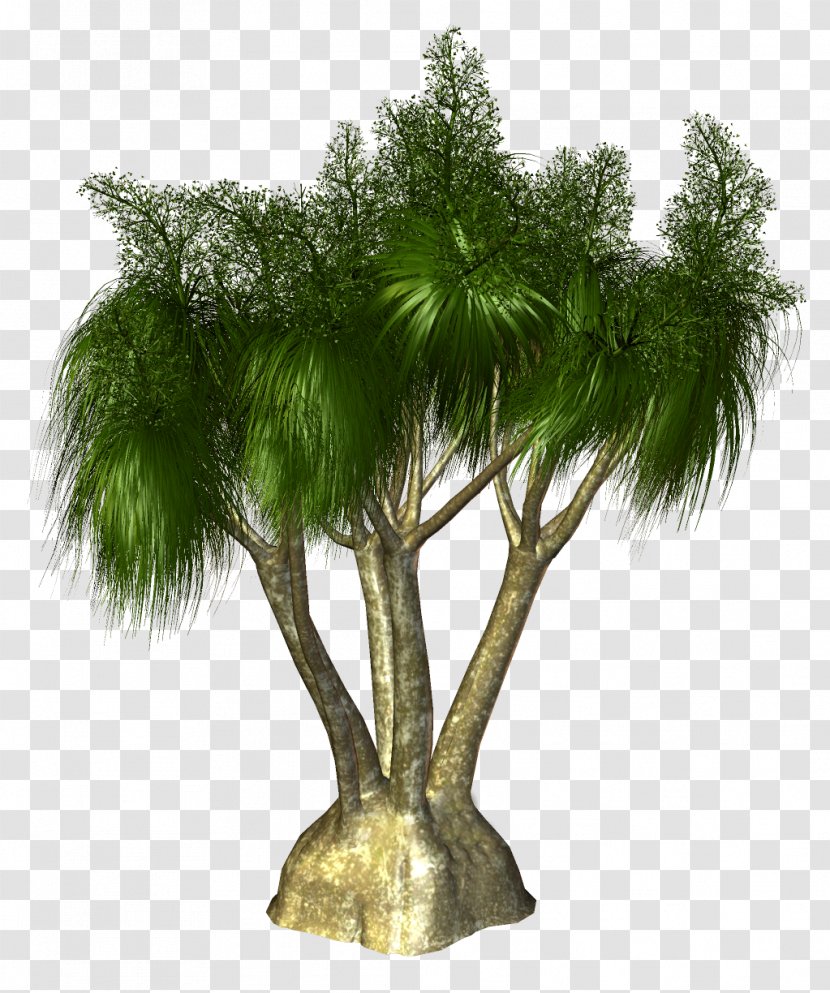 Palm Trees Clip Art Stock.xchng Illustration - Plant Stem - Asian Palmyra Transparent PNG