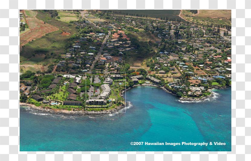 Napili Bay Lahaina Point Resort Coast - Napilihonokowai - Water Transparent PNG