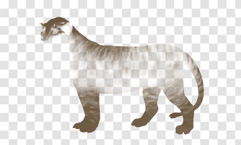 Tiger Big Cat Lion Felidae - Skill Transparent PNG