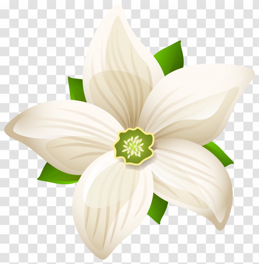 Black And White Flower - Green - Large Transparent Clip Art Image Transparent PNG