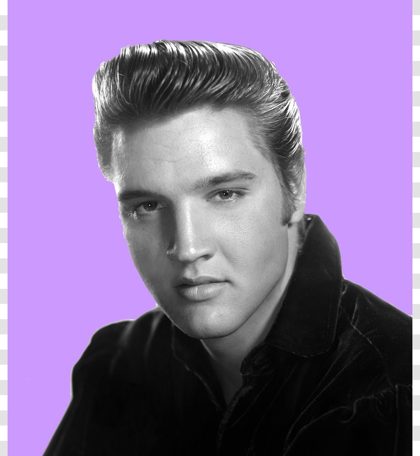 Elvis [Tribute To Presley, Pioneer And King] Live A Little, Love Little Graceland Tupelo - Tree - Presley Cartoon Transparent PNG