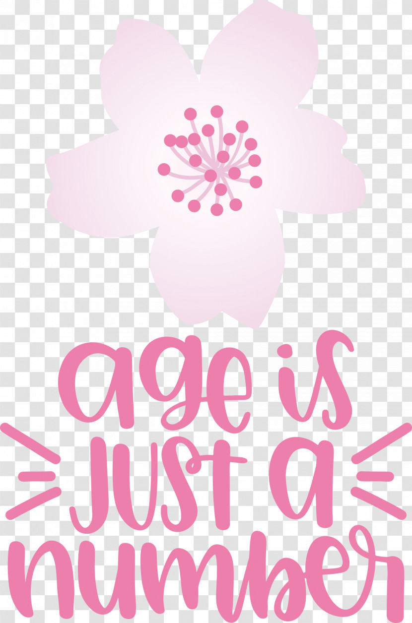 Birthday Age Is Just A Number Transparent PNG