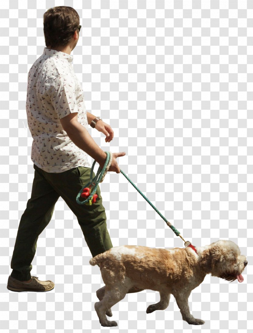 Dog Breed Puppy Walking Obedience Training - Man Transparent PNG