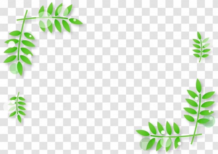 Spring Leaf Frame. - Grass Family - Flora Transparent PNG