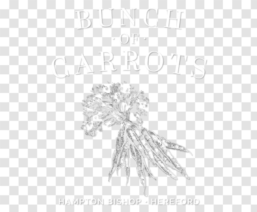 The Bunch Of Carrots Drawing Visual Arts Sketch - Joint Transparent PNG