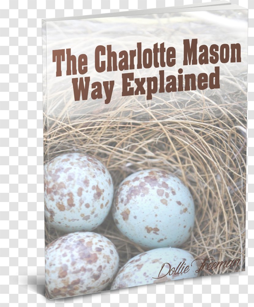 Homeschooling Education Educator Curriculum Pre-school - Charlotte Mason Transparent PNG