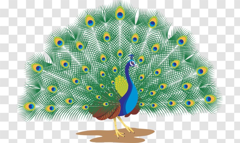 Pavo Royalty-free Clip Art - Bird - Peacock Watercolor Transparent PNG