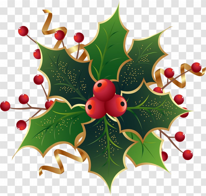 Clip Art Christmas Day Common Holly Mistletoe - American - Epiphany Holiday Transparent PNG