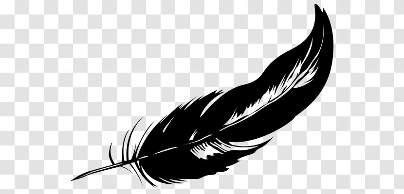 Feather Beak Pen Font - FAether Transparent PNG