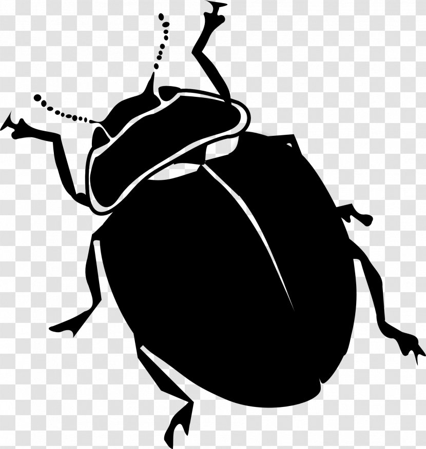 Ladybird Beetle Clip Art Black And White Ladybugs - Coloring Book Transparent PNG