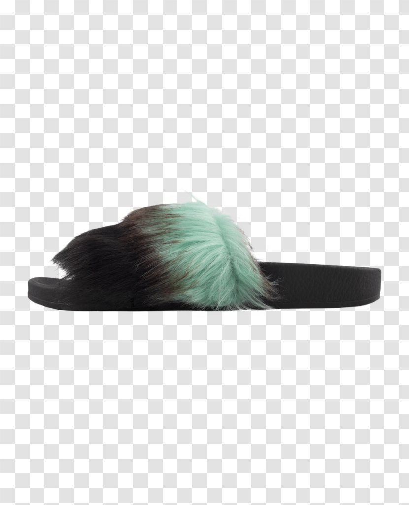 Fur Turquoise - Shoe - Mint Color Transparent PNG