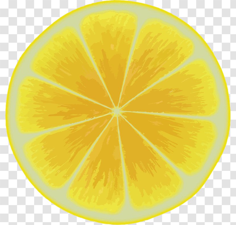 Lemon Citron Citric Acid Circle - Orange Transparent PNG