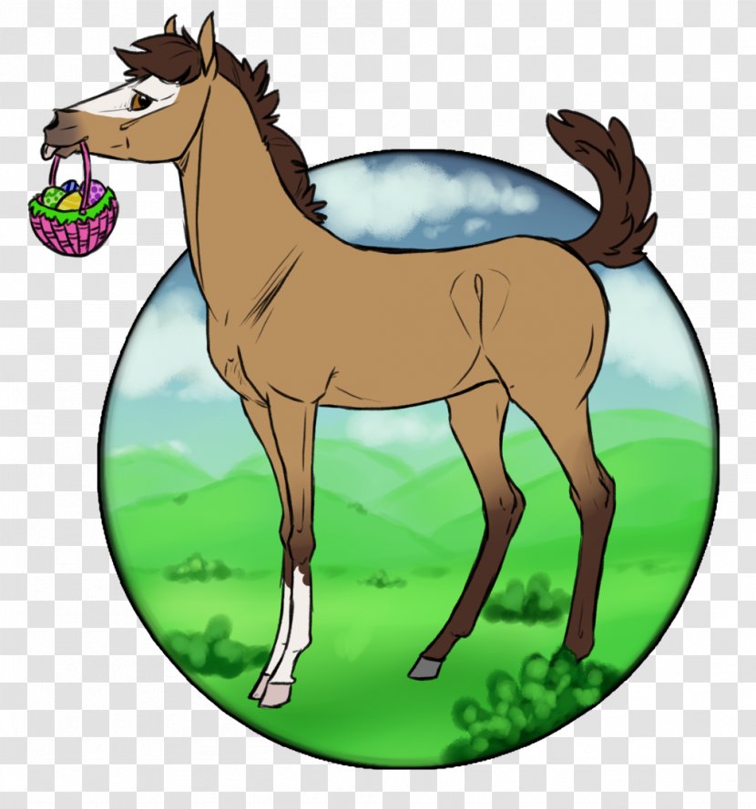 Foal Mustang Colt Stallion Mare - Rein - A Gentle Bargain To Send Gifts Transparent PNG