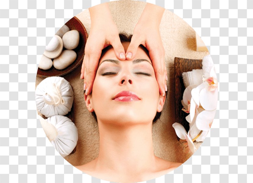 Massage Therapy VL Aesthetics Skin Care Facial - Cheek - Rosa Mosqueta Transparent PNG