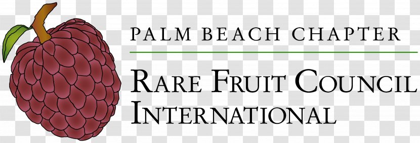 Brand Superfood Fruit Font - Palm Transparent PNG