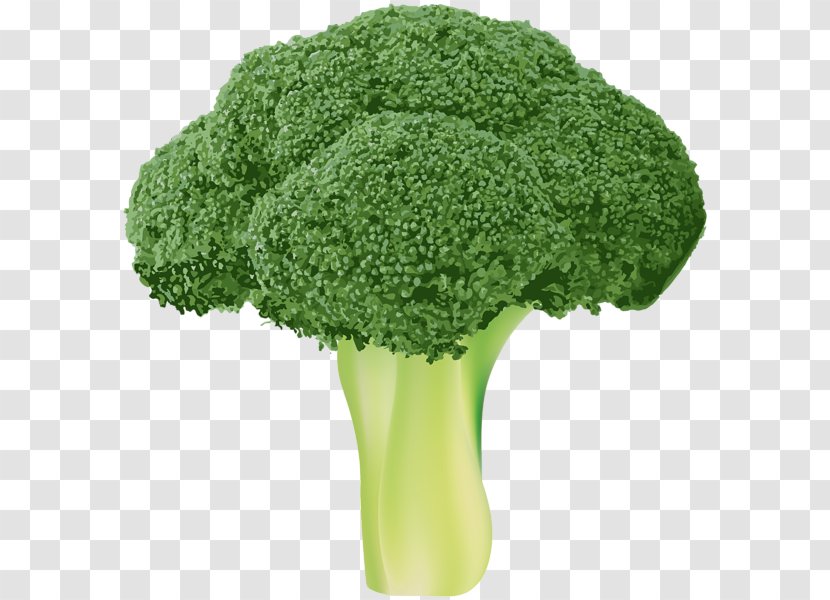 Broccoli Vegetable Clip Art - Tree Transparent PNG