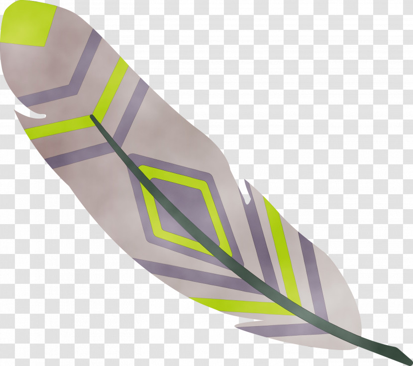 Feather Transparent PNG