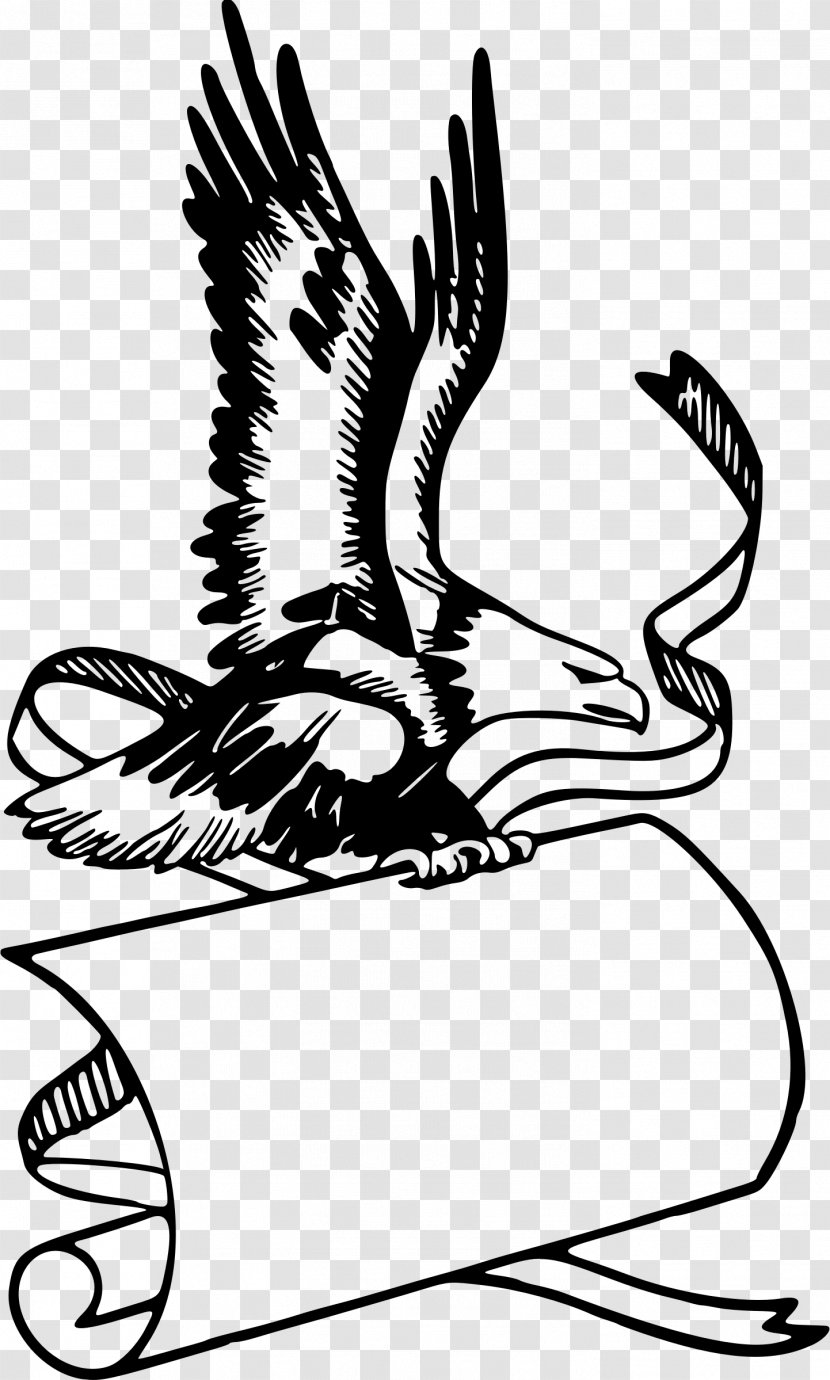 Bald Eagle Bird Clip Art Transparent PNG