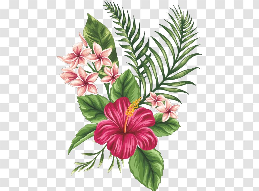 Flower Drawing Tropics Clip Art - Hibiscus Transparent PNG
