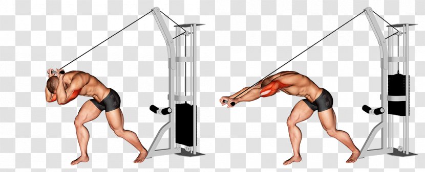 Physical Fitness Lying Triceps Extensions Brachii Muscle Pulley Exercise - Silhouette - Upper Arm Transparent PNG