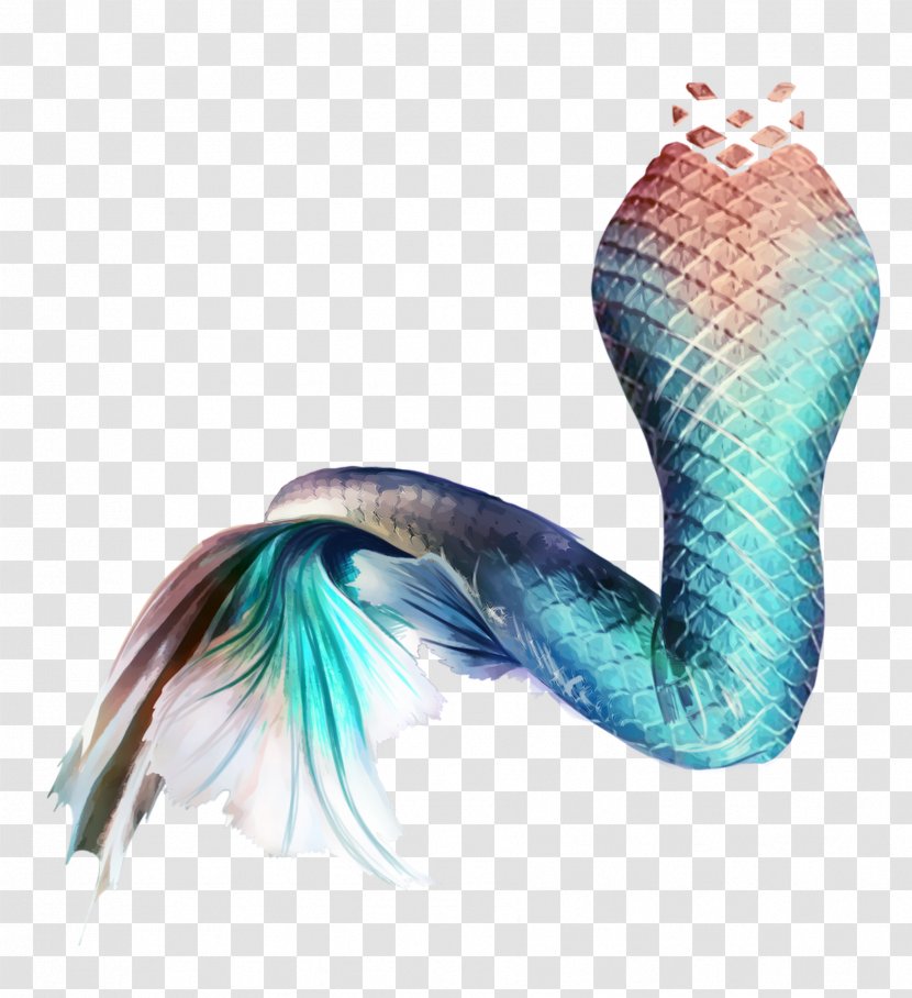 Mermaid Tail Siren Image Mug Transparent PNG